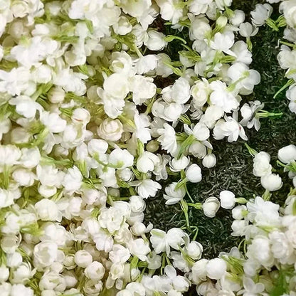 🔥LAST DAY Promotion 49% OFF 🌸Beautiful Jasmine Potted Plant(Can be planted in winter)